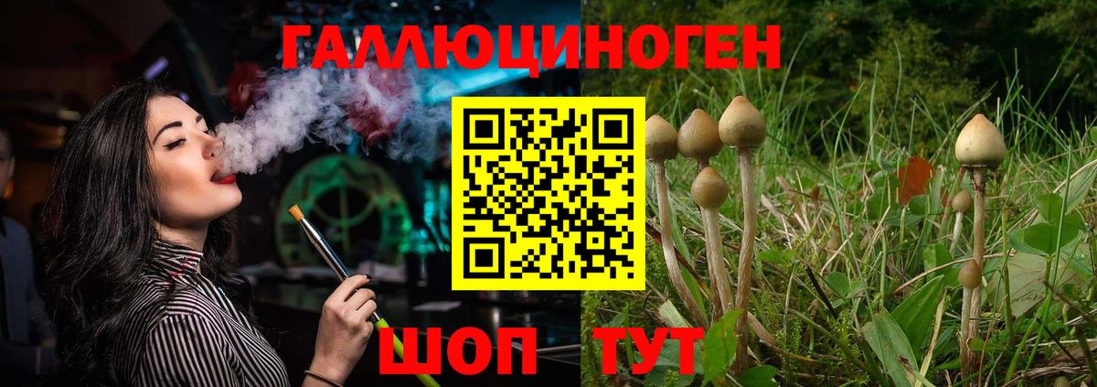 Галлюциногенные грибы прущие грибы  Вход с VPN  Каменск-Шахтинский 